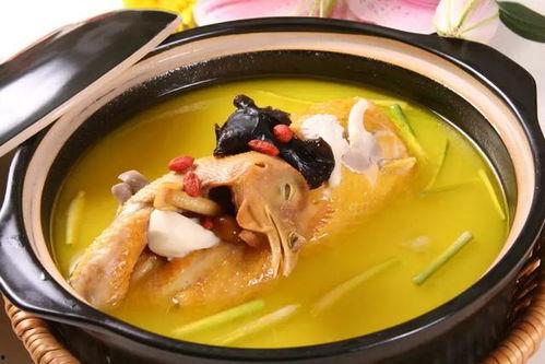 幼犬可以吃淡瓜汤吗视频,营养与安全的完美结合